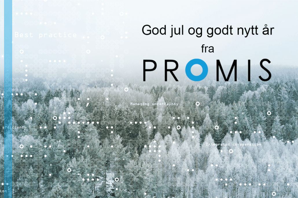 Hvitt vinterlandskap med tekst god jul og godt nyttår fra Promis