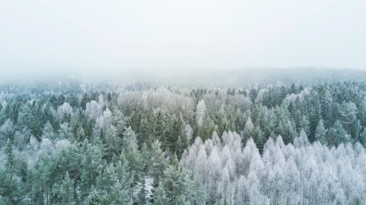 Hvitt vinterlandskap